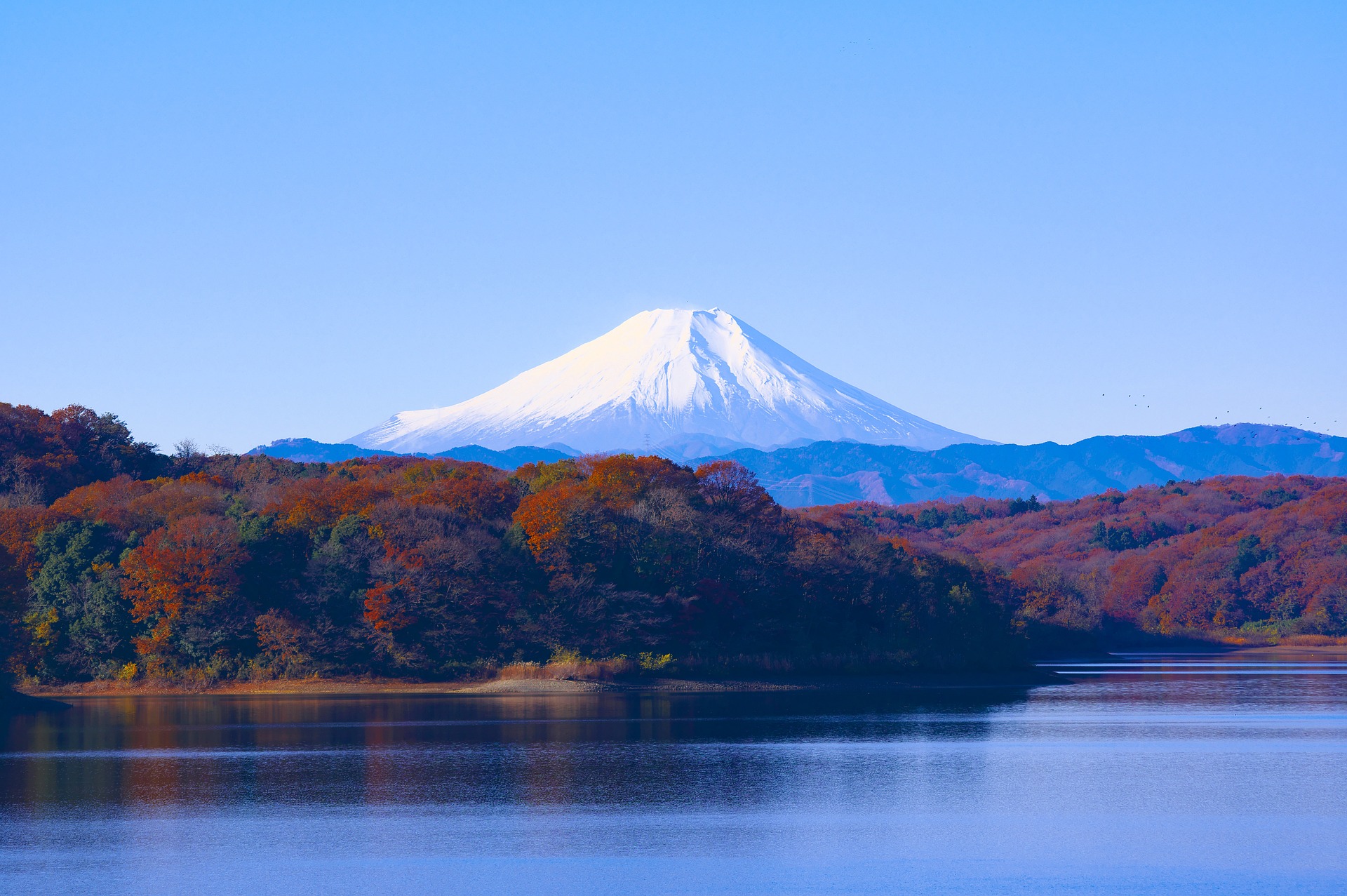 日本にしかないゴルフルール